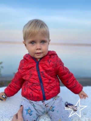 Лев Меньшиков