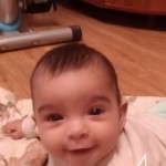 Сальседо Бель Доминика