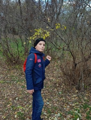 Илья Шапорин