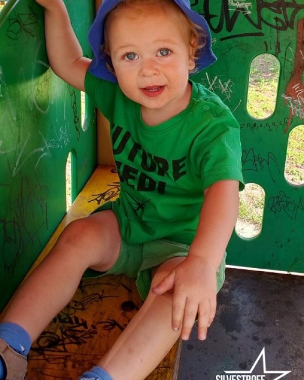 Давид Дикий