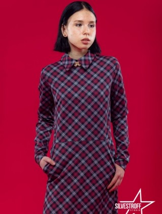 Дарина Силенко