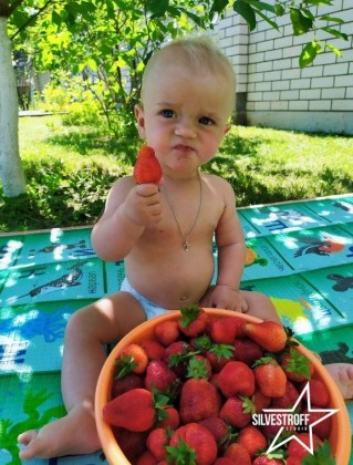 Проценко Макар